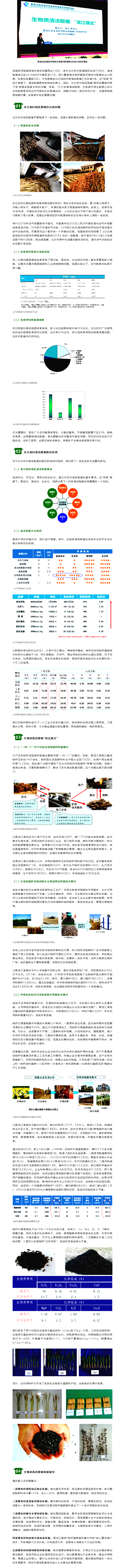 劉杰：生物質清潔取暖 “龍江模式”