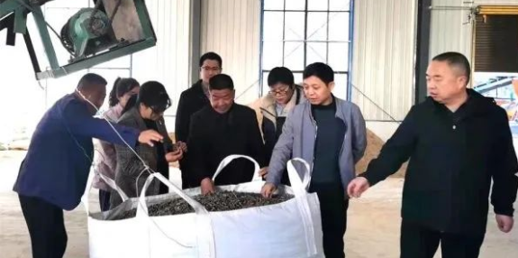 年產生物質顆粒1.5萬噸的安徽省安慶市桐城市光明新能源生物質顆粒生產線項目在文昌街道大石板村開工投產